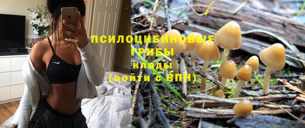 крисы Алзамай