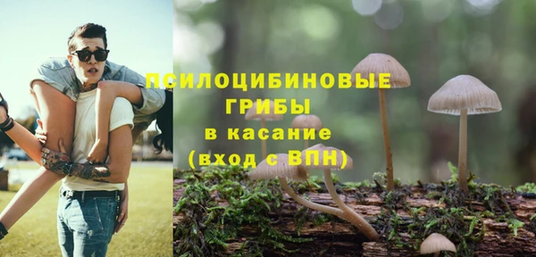 крисы Алзамай